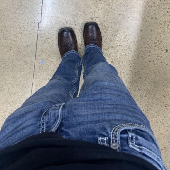 Meet your Posher, Sebastian - Picture 1 of 1